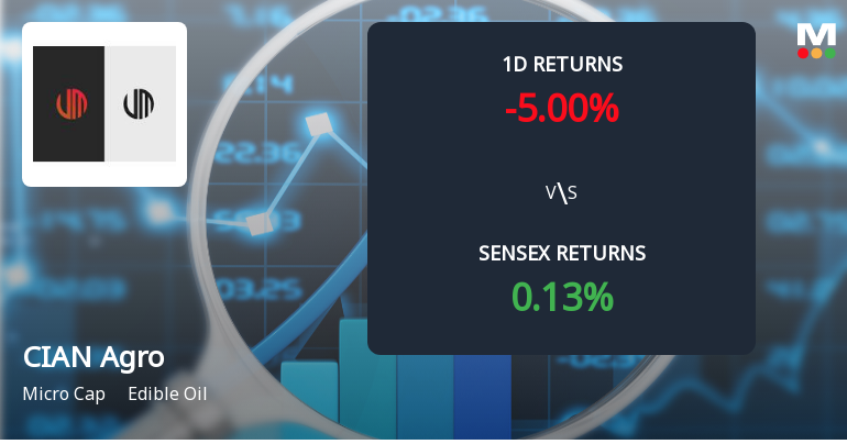 CIAN Agro Industries & Infrastructure Faces Intense Selling Pressure Amid Consecutive Losses