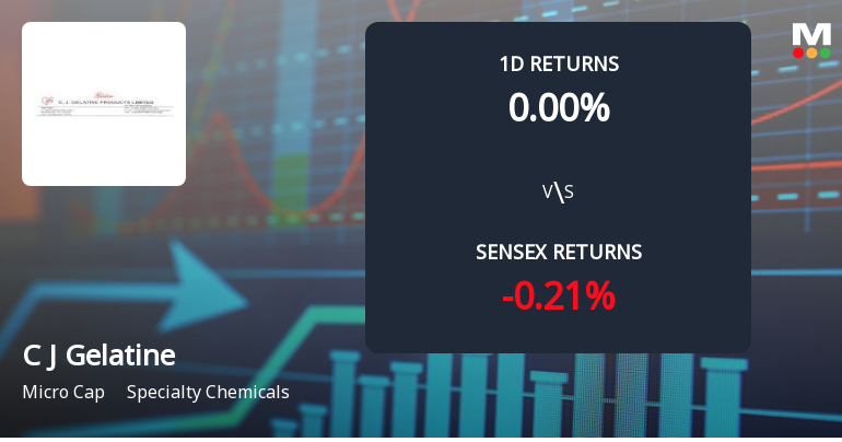 C J Gelatine Products Faces Intense Selling Pressure Amid Consecutive Losses