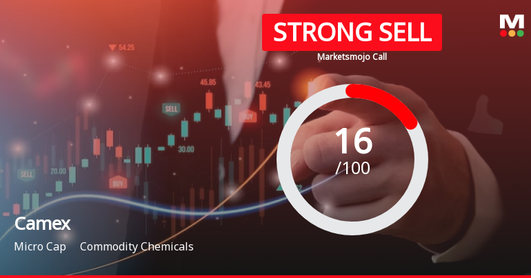 Camex Sees Revision in Market Evaluation Amidst Challenging Financial Trends