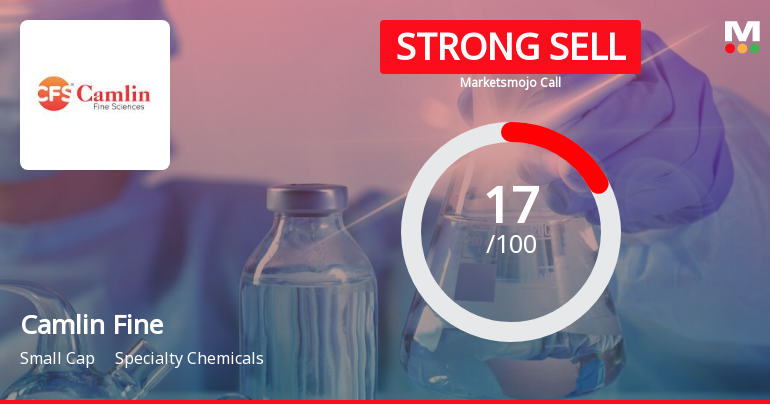 Camlin Fine’s Evaluation Revised Amidst Challenging Financial and Technical Trends