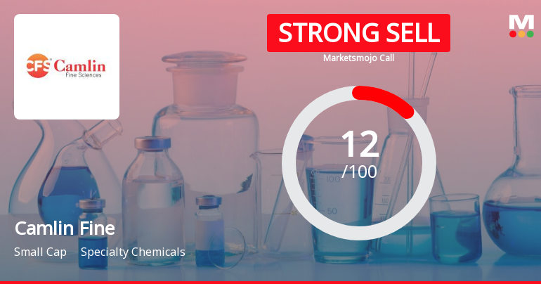 Camlin Fine Sees Revision in Market Evaluation Amidst Weak Fundamentals