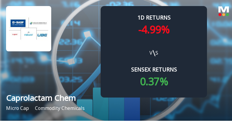 Caprolactam Chemicals Faces Intense Selling Pressure Amid Consecutive Gains