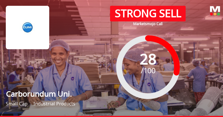 Carborundum Universal’s Market Assessment Reflects Valuation and Financial Challenges