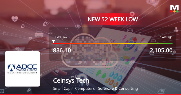 Ceinsys Tech Falls to 52-Week Low of Rs.836.1 Amid Market Pressure