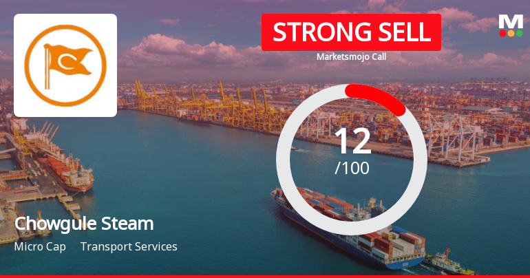 Chowgule Steam Sees Revision in Market Assessment Amidst Challenging Financial Trends