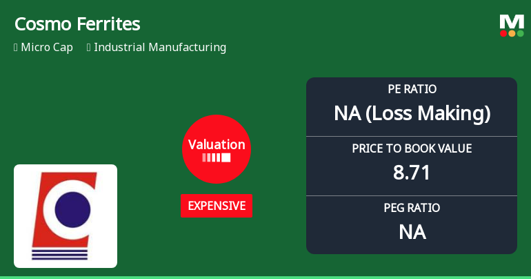 Cosmo Ferrites Valuation Shifts Highlight Price Attractiveness Changes Amid Market Challenges