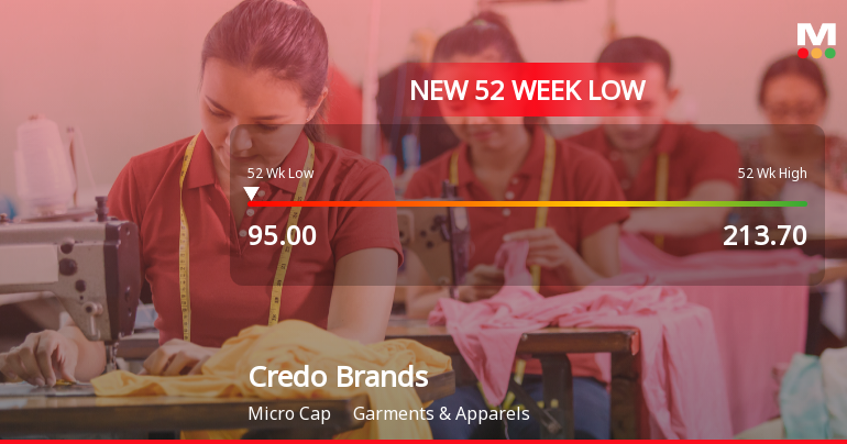 Credo Brands Marketing Stock Falls to 52-Week Low of Rs.95