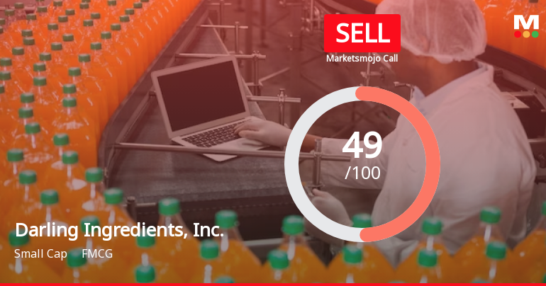 Darling Ingredients Faces Valuation Shift Amid Declining Profitability and Efficiency Challenges