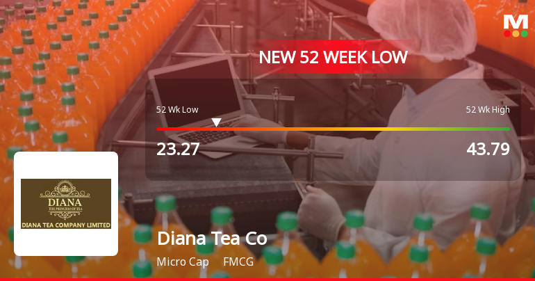 Diana Tea Company Stock Falls to 52-Week Low of Rs.23.27 Amid Market Volatility
