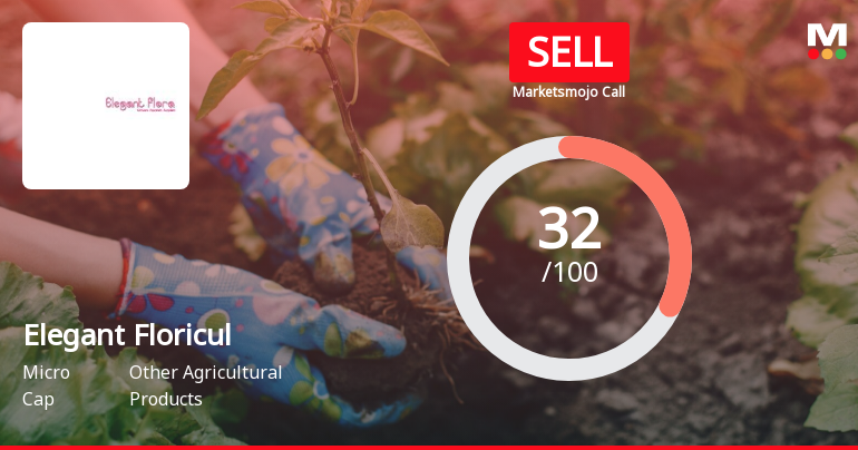 Elegant Floricul Sees Revision in Market Evaluation Amid Mixed Financial Signals