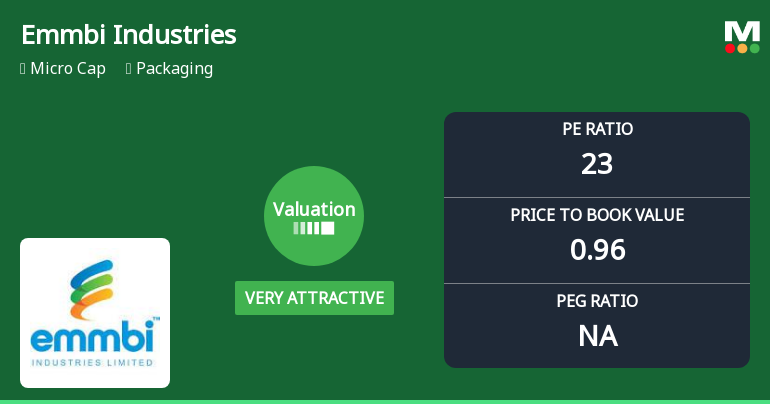 Emmbi Industries Valuation Shifts Highlight Price Attractiveness Amid Packaging Sector Dynamics
