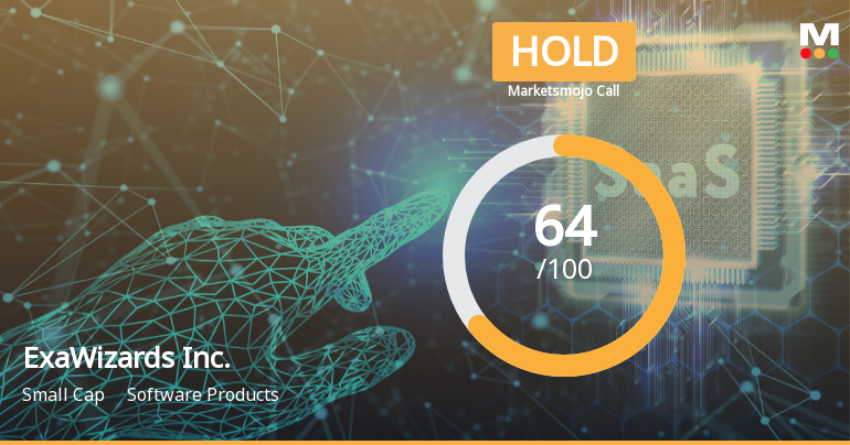 ExaWizards Inc. Transitions to Hold Status Amid Growth and Operational Challenges