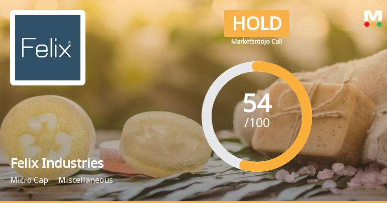 Felix Industries Sees Revision in Market Evaluation Amid Mixed Performance