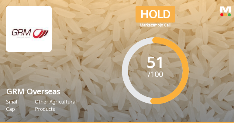 GRM Overseas Sees Revision in Market Evaluation Amid Mixed Financial Signals