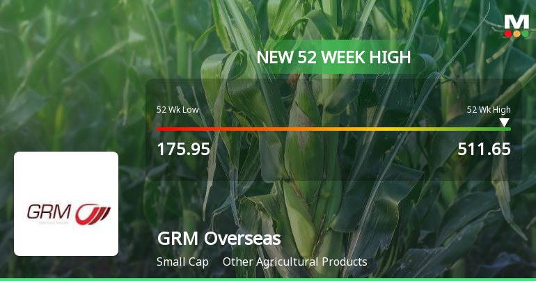 GRM Overseas Hits New 52-Week High of Rs.516.95 Marking Strong Market Momentum
