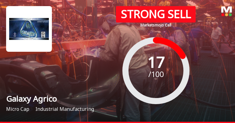 Galaxy Agrico Exports Faces Challenging Market Conditions Amid Mixed Financial and Technical Signals