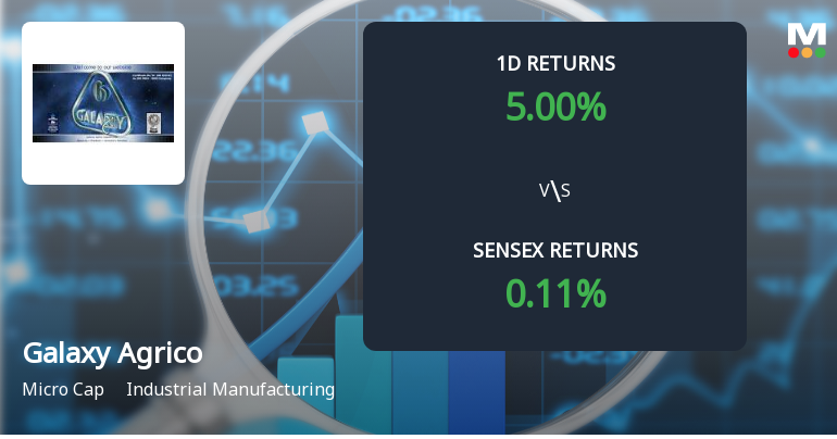 Galaxy Agrico Exports Faces Intense Selling Pressure Amid Market Volatility