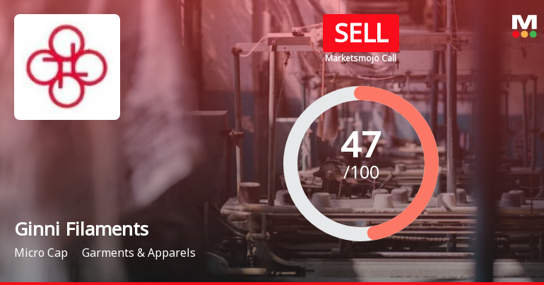 Ginni Filaments Sees Revision in Market Evaluation Amid Mixed Financial Signals