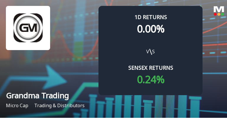 Grandma Trading & Agencies Faces Intense Selling Pressure Amid Prolonged Decline