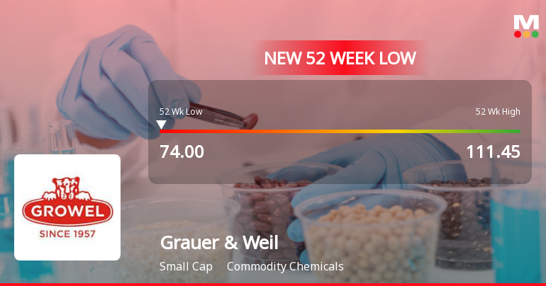 Grauer & Weil (India) Stock Hits 52-Week Low at Rs.74 Amidst Market Underperformance