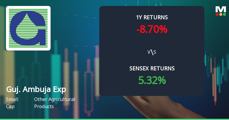 Gujarat Ambuja Exports Shows Mixed Technical Signals Amid Price Momentum Shift