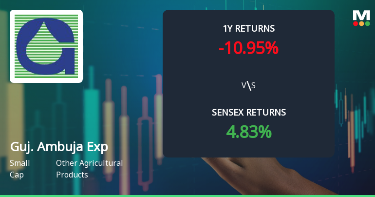 Gujarat Ambuja Exports Shows Mixed Technical Signals Amid Price Momentum Shift
