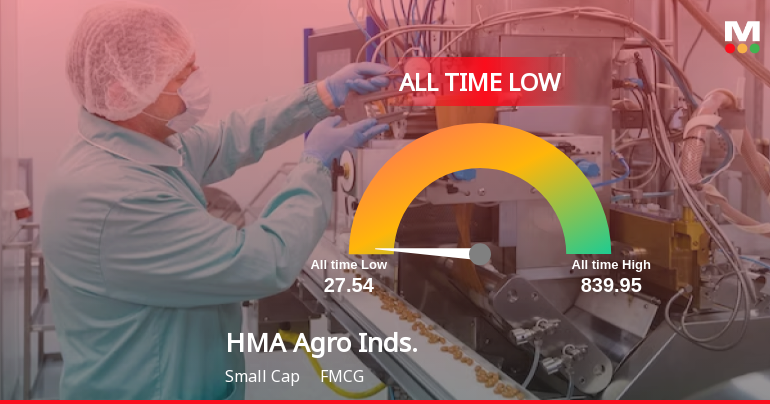 HMA Agro Industries Stock Hits All-Time Low Amid Prolonged Downtrend