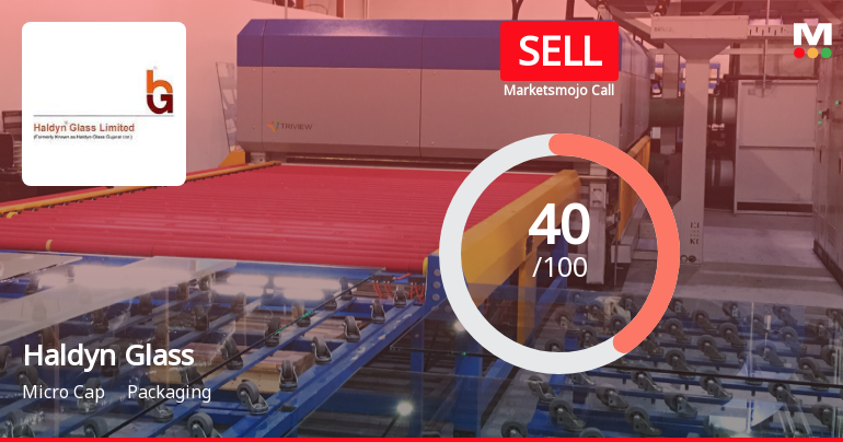 Haldyn Glass Sees Revision in Market Evaluation Amidst Challenging Financial Trends