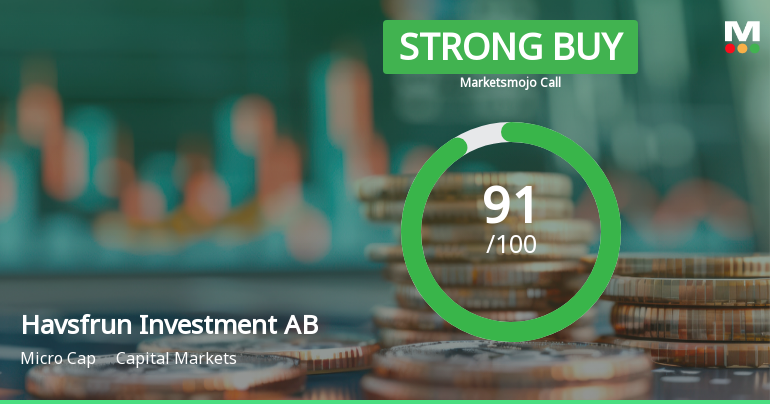 Havsfrun Investment AB Adjusts Valuation Amid Significant Profit and Sales Growth