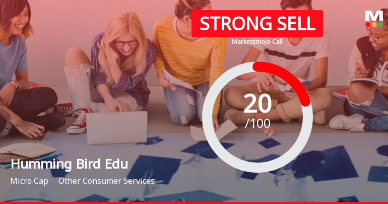 Humming Bird Edu Sees Revision in Market Evaluation Amidst Weak Financial Trends