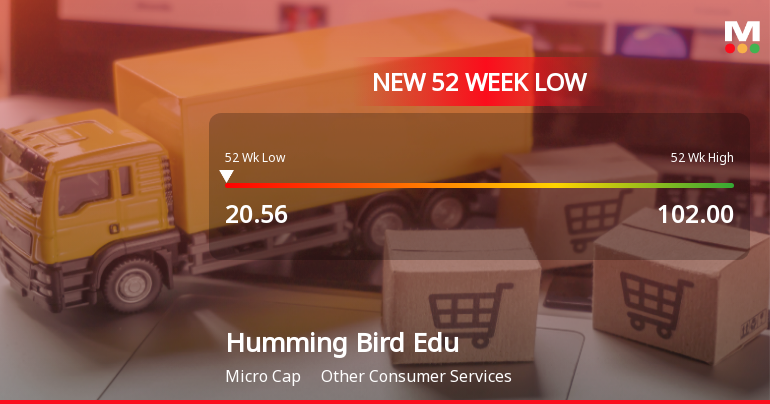 Humming Bird Education Stock Falls to 52-Week Low of Rs.20.56