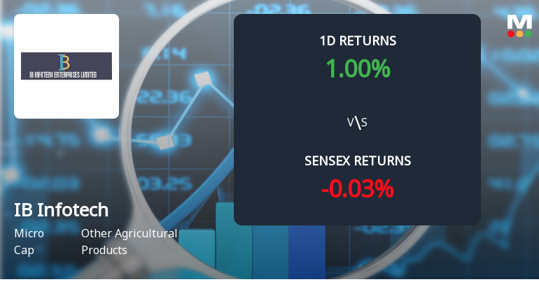 IB Infotech Enterprises Faces Intense Selling Pressure Amid Lower Circuit Lock