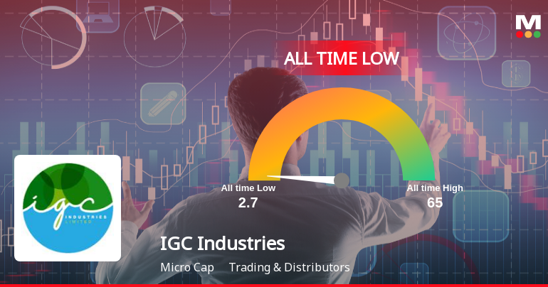IGC Industries Stock Hits All-Time Low Amid Prolonged Downtrend