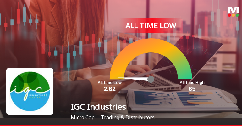 IGC Industries Stock Hits All-Time Low Amid Prolonged Underperformance