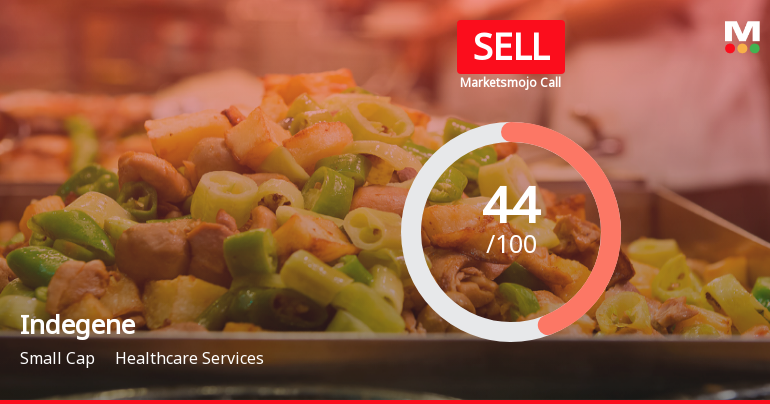 Indegene’s Market Assessment Reflects Mixed Financial and Technical Signals