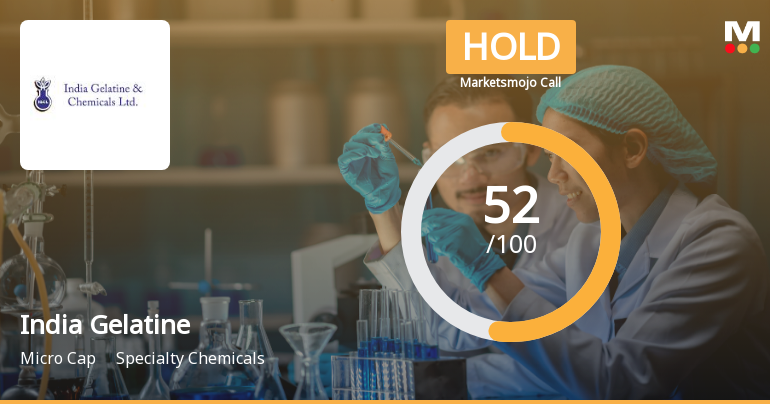India Gelatine & Chemicals: Analytical Perspective Shift Reflects Mixed Financial and Technical Signals