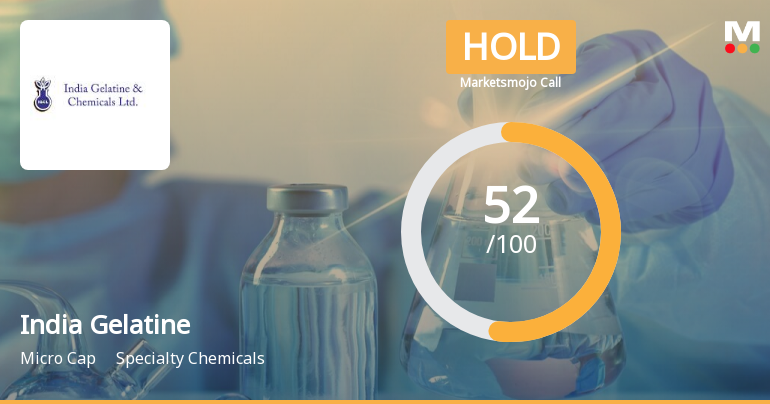 India Gelatine & Chemicals Ltd is Rated Hold