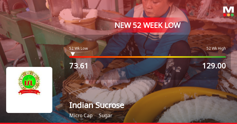 Indian Sucrose Falls to 52-Week Low of Rs.73.61 Amidst Market Underperformance