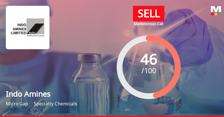 Indo Amines Sees Revision in Market Evaluation Amid Mixed Financial Signals