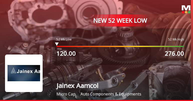 Jainex Aamcol Ltd Stock Hits 52-Week Low Amid Continued Downtrend