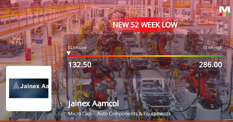 Jainex Aamcol Falls to 52-Week Low of Rs.132.5 Amid Prolonged Downtrend