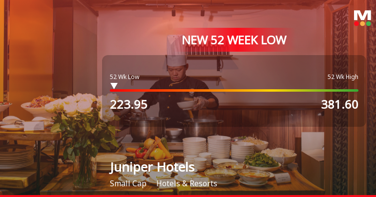 Juniper Hotels Stock Falls to 52-Week Low of Rs.223.95 Amidst Market Pressure