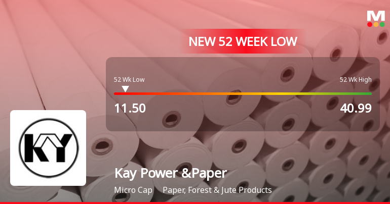 Kay Power & Paper Falls to 52-Week Low of Rs.11.5 Amidst Market Pressure