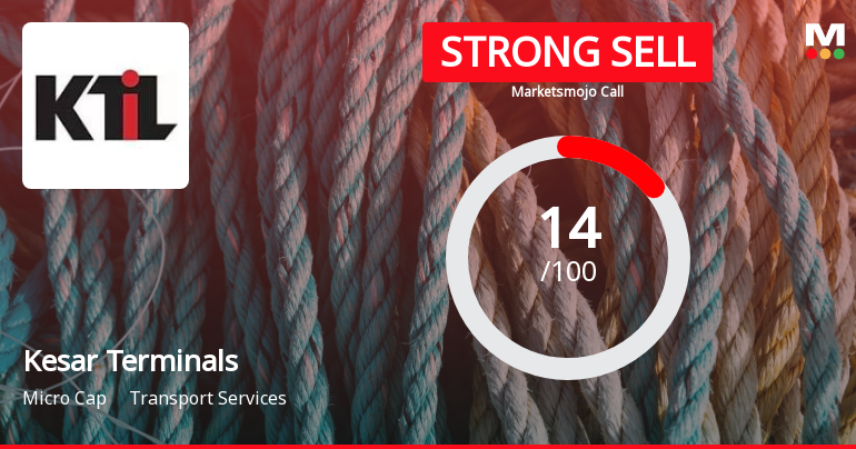 Kesar Terminals Sees Revision in Market Evaluation Amid Challenging Financial Trends