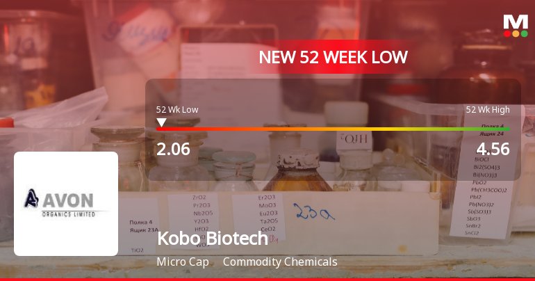 Kobo Biotech Falls to 52-Week Low of Rs.2.06 Amidst Continued Underperformance