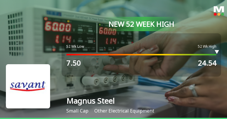 Magnus Steel & Infra Hits New 52-Week High at Rs.24.54