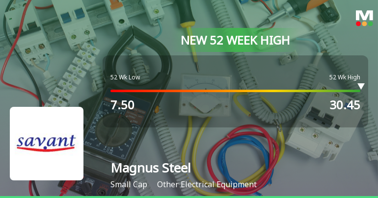 Magnus Steel & Infra Hits New 52-Week High of Rs.30.45 Marking Strong Momentum