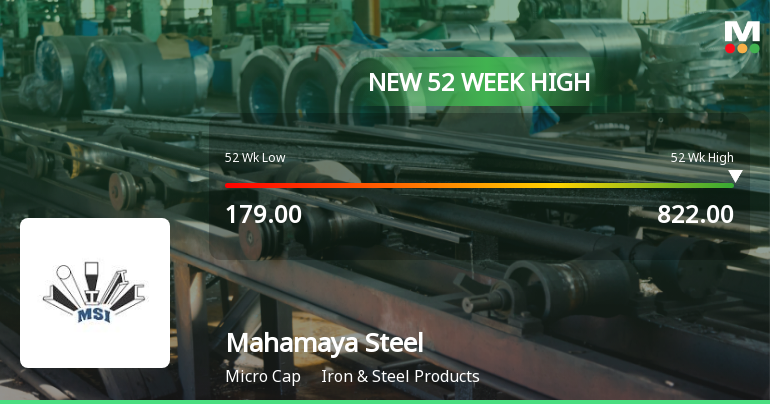 Mahamaya Steel Industries Hits New 52-Week High at Rs.822