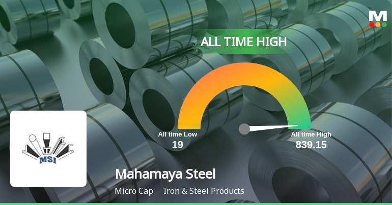 Mahamaya Steel Industries Hits All-Time High at Rs.835