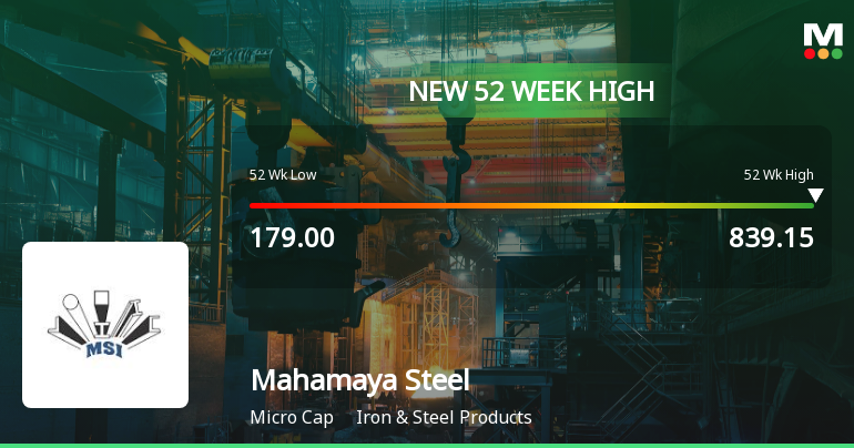 Mahamaya Steel Industries Hits New 52-Week High at Rs.839.15